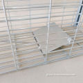 Rodent Cage Trap Cage Trap Single Living Catch Mouse Traps Factory